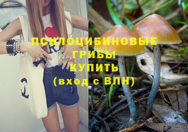кристаллы Алексин
