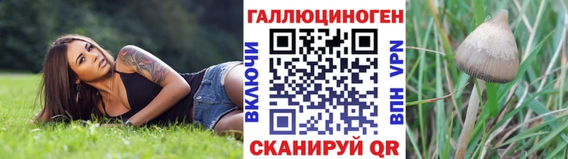 Псилоцибиновые грибы мицелий  omg зеркало  Кизилюрт  как найти наркотики 