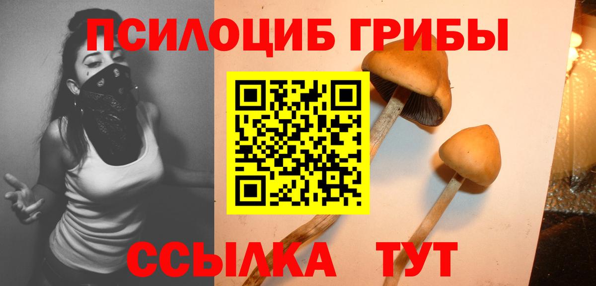 Галлюциногенные грибы мицелий  Вход с VPN  Кизилюрт  Галлюциногенные грибы мухоморы 