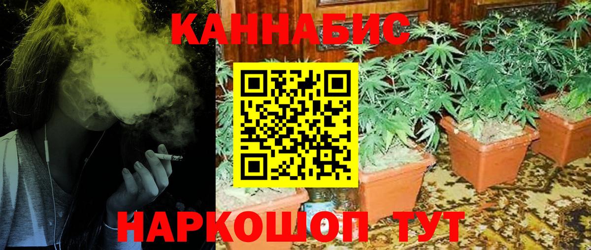 Бошки Шишки гибрид Кизилюрт